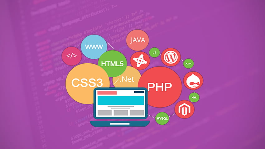 Programming Basics