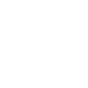 Artificial Intelligence (AI)